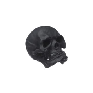 Nymphenburg Skull Small In Black Bisque