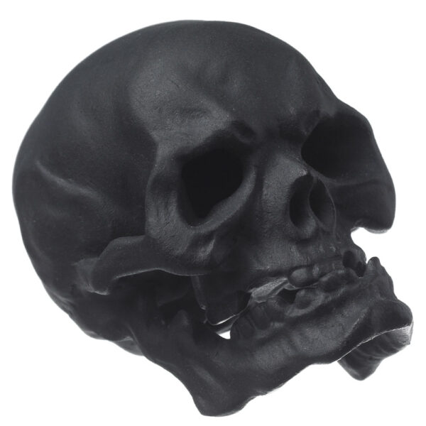 Nymphenburg Skull Small In Black Bisque Detail View