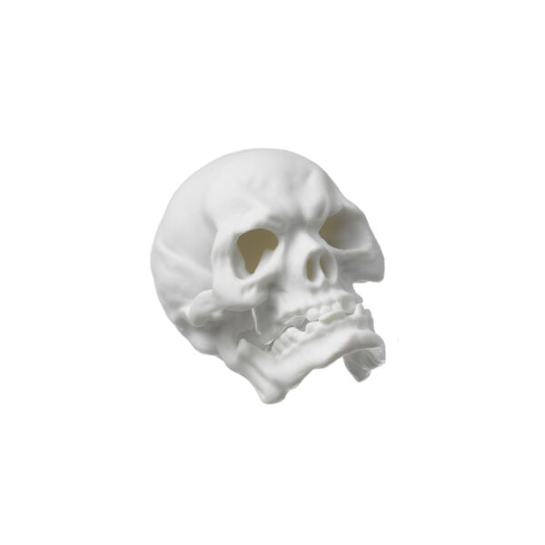 Nymphenburg Skull Small in White Bisque