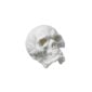 Nymphenburg Skull Small in White Bisque