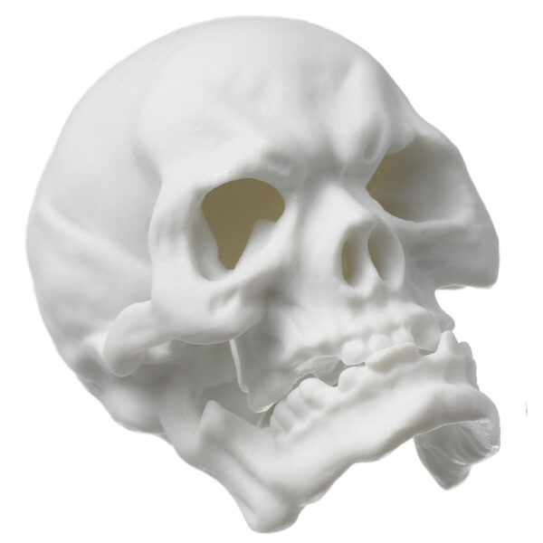 Nymphenburg Skull Small in White Bisque Detail View
