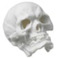 Nymphenburg Skull Small in White Bisque Detail View