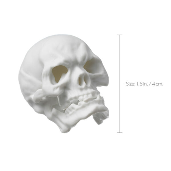 Nymphenburg Skull Small in White Bisque Size
