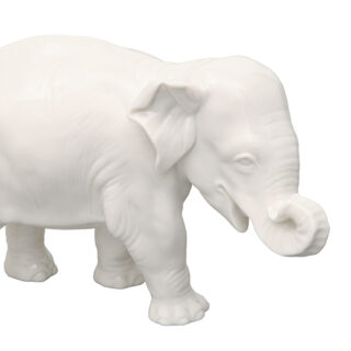 Nymphenburg Young Elephant No. 877b Ivory Glazed Close Up Nymphenburg Young Elephant No. 877b Ivory Glazed Close Up