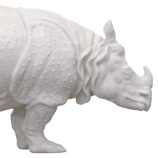 Nymphenburg Rhinoceros Clara in White Glazed Close Up