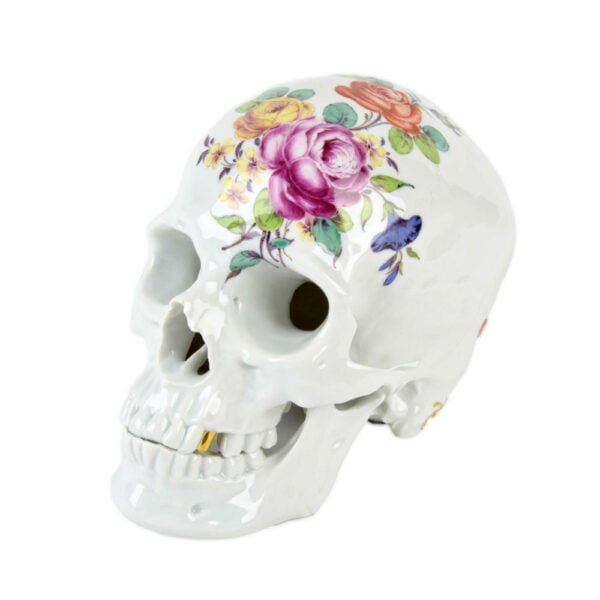 Nymphenburg Memento Mori Skull Cumberland Nymphenburg Memento Mori Skull Cumberland