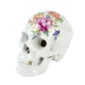 Nymphenburg Memento Mori Skull Cumberland