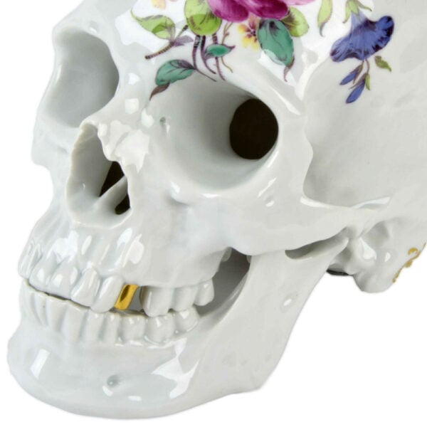 Nymphenburg Memento Mori Skull Cumberland Mandible Nymphenburg Memento Mori Skull Cumberland Mandible
