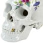 Nymphenburg Memento Mori Skull Cumberland Mandible