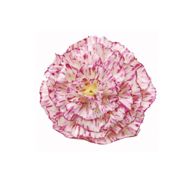 Nymphenburg Table Flowers: Carnation Large Painted