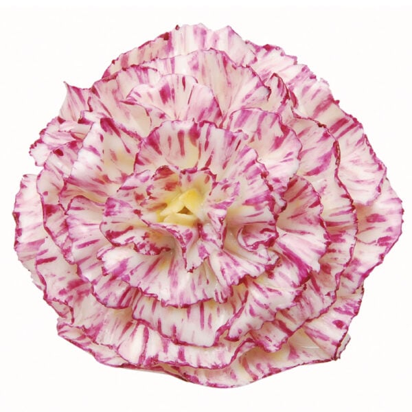 Nymphenburg-Table-Flowers--Carnation-Large-Painted-Close-Up