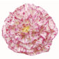 Nymphenburg-Table-Flowers--Carnation-Large-Painted-Close-Up