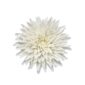Nymphenburg Table Flowers: Chrysanthemum Painted