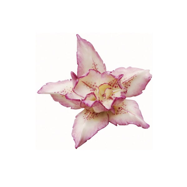 Nymphenburg Table Flowers: Iris Painted