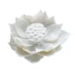 Nymphenburg Table Flowers: Lotus