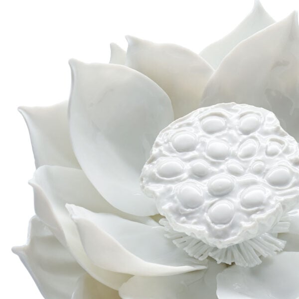 Nymphenburg Table Flowers: Lotus Close Up