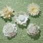 Nymphenburg White Glazed Table Flowers on Green Cloth