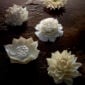 Nymphenburg Table Flowers: New Collection