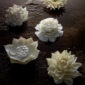 Nymphenburg Table Flowers: New Collection