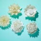 Nymphenburg Table Flowers: New Group 2
