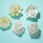 Nymphenburg Table Flowers: New Collection Group 2