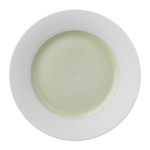 Nymphenburg Lotos Bisque Rimmed Colored Center Yellow Nymphenburg Lotos Bisque Rimmed Colored Center Yellow