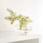 Hering Berlin Lampion Vase Clear Flow