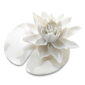 Nymphenburg Table Flowers: Water Lily Limited Edition