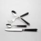 Alain Saint-Joanis Seville Black Silver Plated Place Setting