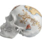 Nymphenburg Memento Mori Skull 2015 Voyage Side 2