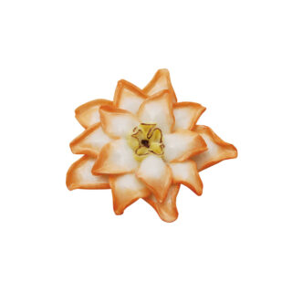 Nymphenburg Table Flowers: Cactus Flower Painted