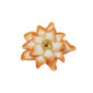 Nymphenburg Table Flowers: Cactus Flower Painted