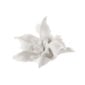 Nymphenburg Table Flowers: Iris