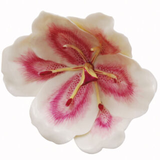 Nymphenburg Table Flowers: Magnolia Painted Close Up