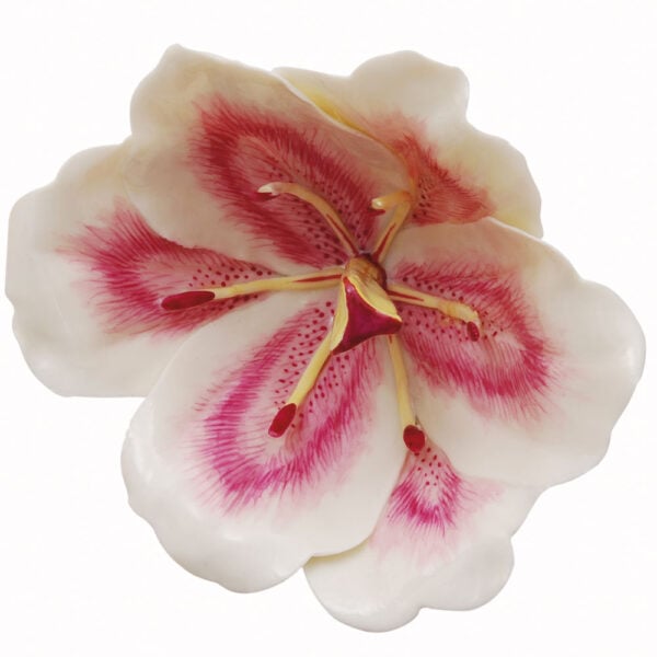 Nymphenburg Table Flowers: Magnolia Painted Close Up Nymphenburg Table Flowers: Magnolia Painted Close Up