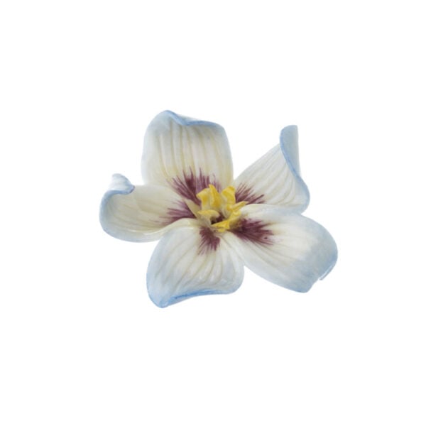 Nymphenburg Table Flowers: Pansy Painted-Table-Flowers--Pansy-Painted Nymphenburg Table Flowers: Pansy Painted