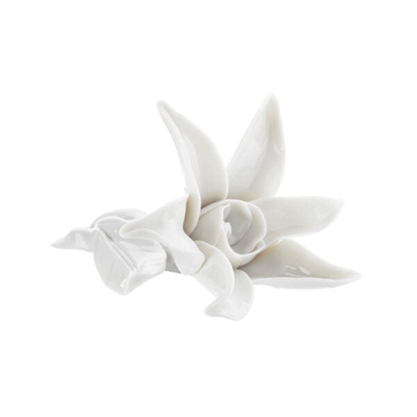 Nymphenburg Table Flowers: Starflower