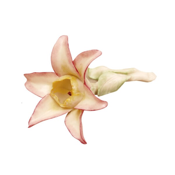 Nymphenburg Table Flowers: Starflower Painted Nymphenburg Table Flowers: Starflower Painted