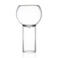 Fferrone Tulip Tall Small Glass | Kneen & Co