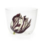 Lobmeyr Alpha Tulipmania Water Tumbler no. 10