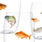 Lobmeyr Balloon Beer Tumbler with Painted Fish B