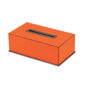 Giobagnara Firenze Rectangular Tissue Holder