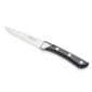 Alain Saint-Joanis Palace Steak Knife Black in Deluxe Box (Set of 6)