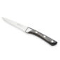 Alain Saint-Joanis Palace Steak Knives Grey Horn In Deluxe Box (Set Of 6)