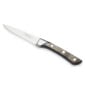 Alain Saint-Joanis Palace Steak Knives Grey (Set of 6)