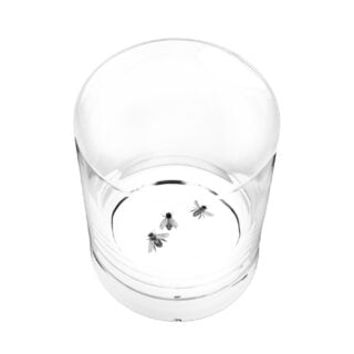 Lobmeyr Sagmeister Water Tumbler Diligence