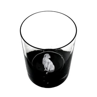Lobmeyr Sagmeister Water Tumbler Pride