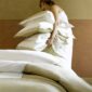 Mirabel Slabbinck Canina Bedding