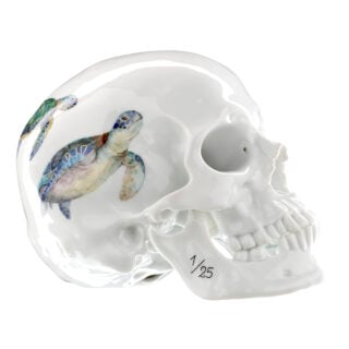 Nymphenburg Turtle Limited Edition Skull