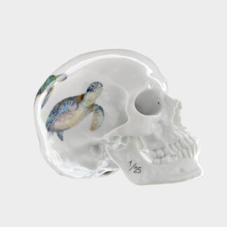 Nymphenburg Turtle Skull